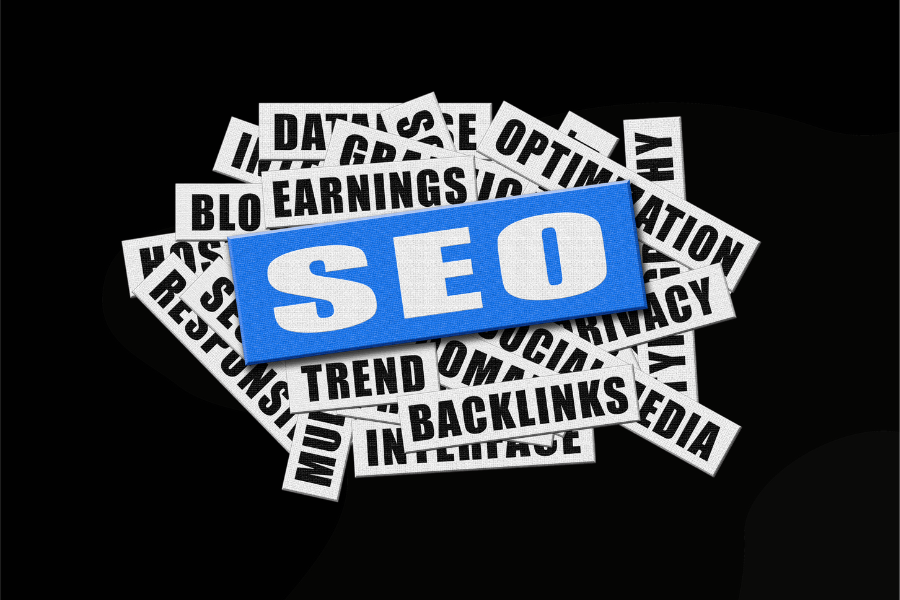 SEO services in raipur
